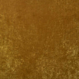 Cosmos Velvet II Amber