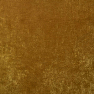 Cosmos Velvet II Amber