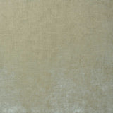 Cosmos Velvet II Cameo