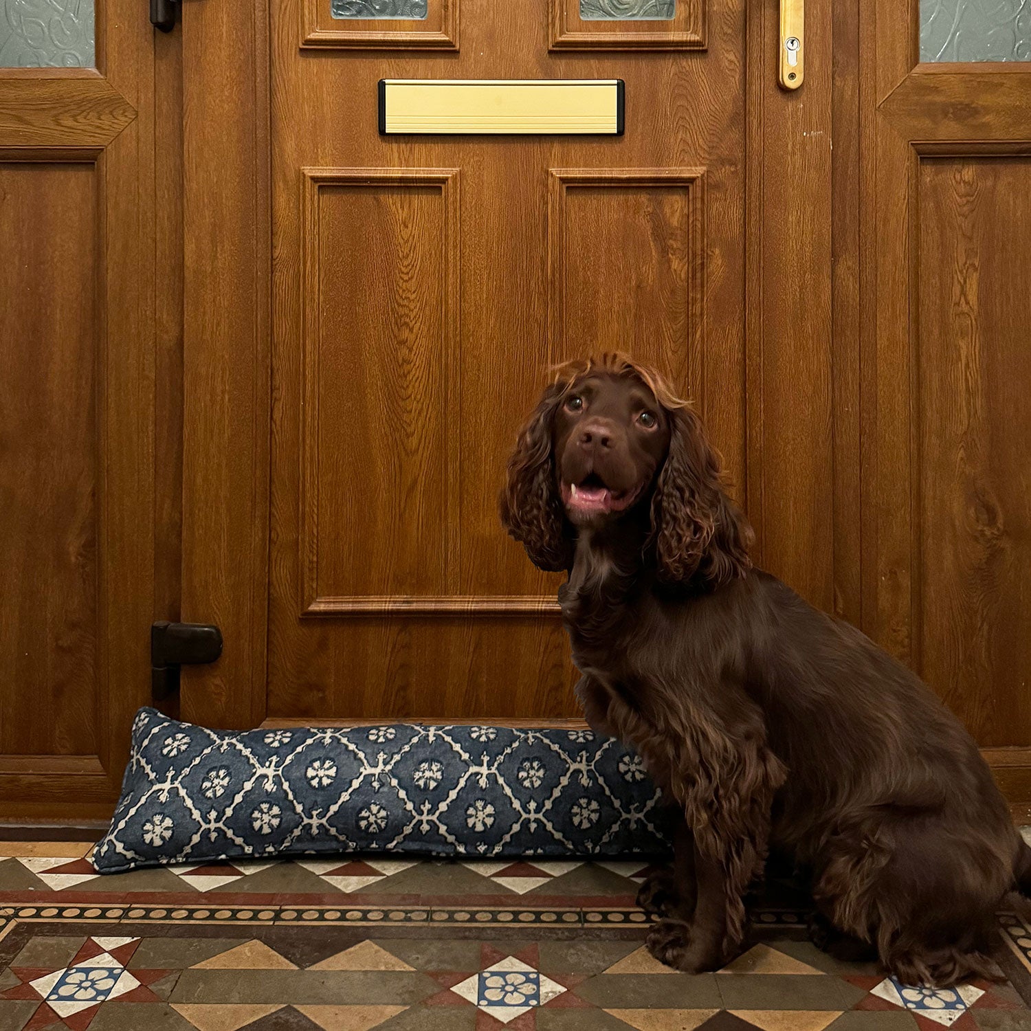 Washable velvet draught excluder – Uzbekistan hand block printed with dog featuring.