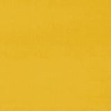 Omega Canary