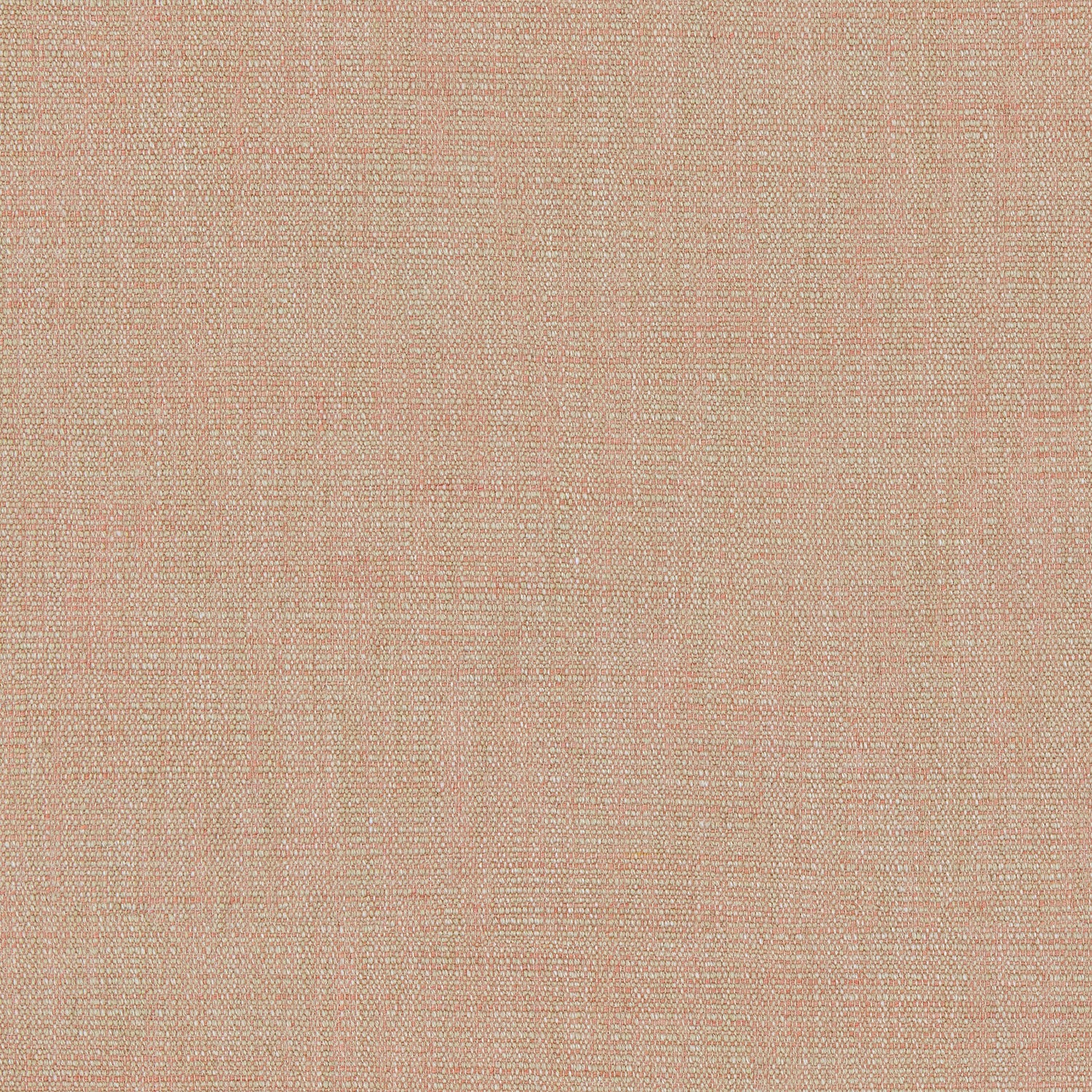 Sample of a versatile woven fabric in pink.