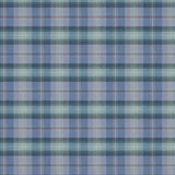 Beachcomber Southerness