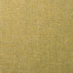 Tay Ochre