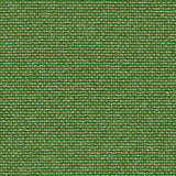 Jetty Emerald