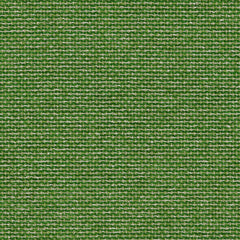 Jetty Emerald