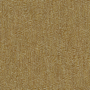 Tidal Apricot