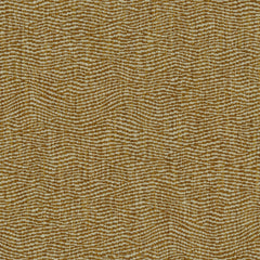 Tidal Apricot