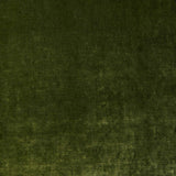 Cosmos Velvet II Evergreen