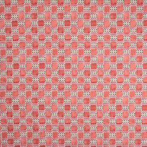 Ravioli Raspberry Ripple