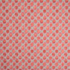 Ravioli Raspberry Ripple