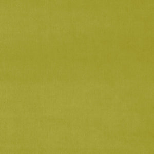 Omega Wattle