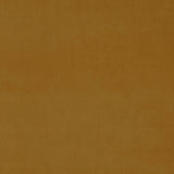 Omega Cognac