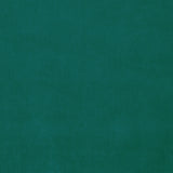 Omega Turquoise