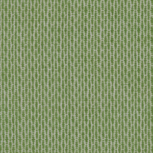 Raindrops Cactus