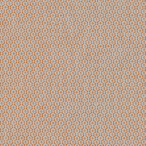 Ripple Pumpkin