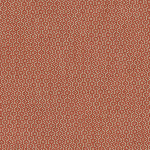 Ripple Salmon