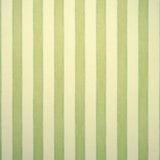 Lola Stripe Topiary