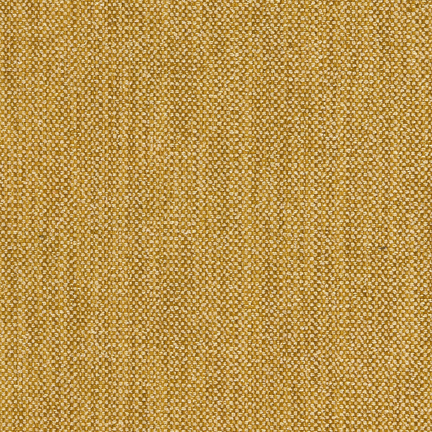 Close-up of Linwood’s Loxley Ochre fabric – textured Italian weave in golden yellow for upholstery.