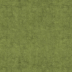 NoMo Lawn
