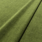 NoMo Lawn
