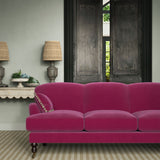 Omega Pink