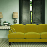 Omega Wattle