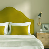 Omega Wattle