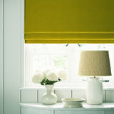 Omega Wattle