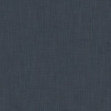 Pluto Blueberry