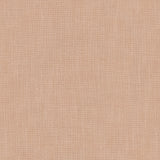 Pluto Carnation