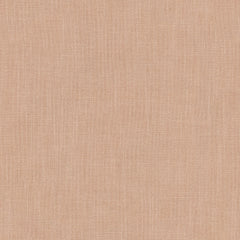 Pluto Carnation