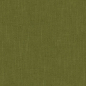 Pluto Olive
