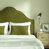 Pluto Olive
