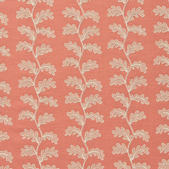 Helena Soft Coral