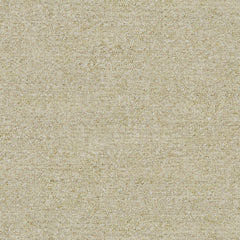 Tanaro Seashell