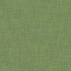 Vara Winter Moss