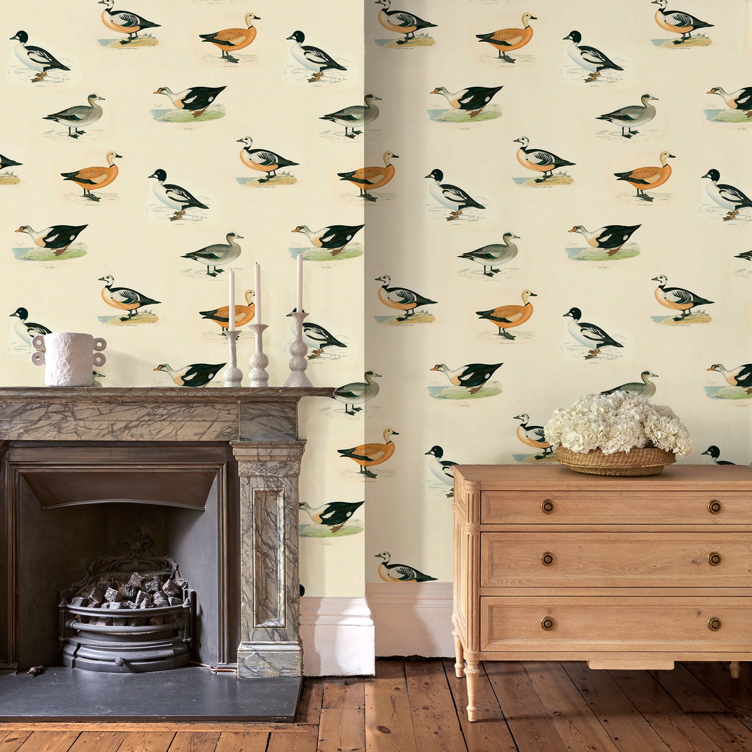 Animal wallpaper featuring ducks in a sitting room.