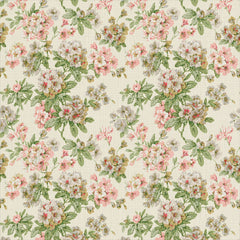 Gertrude Pink Green