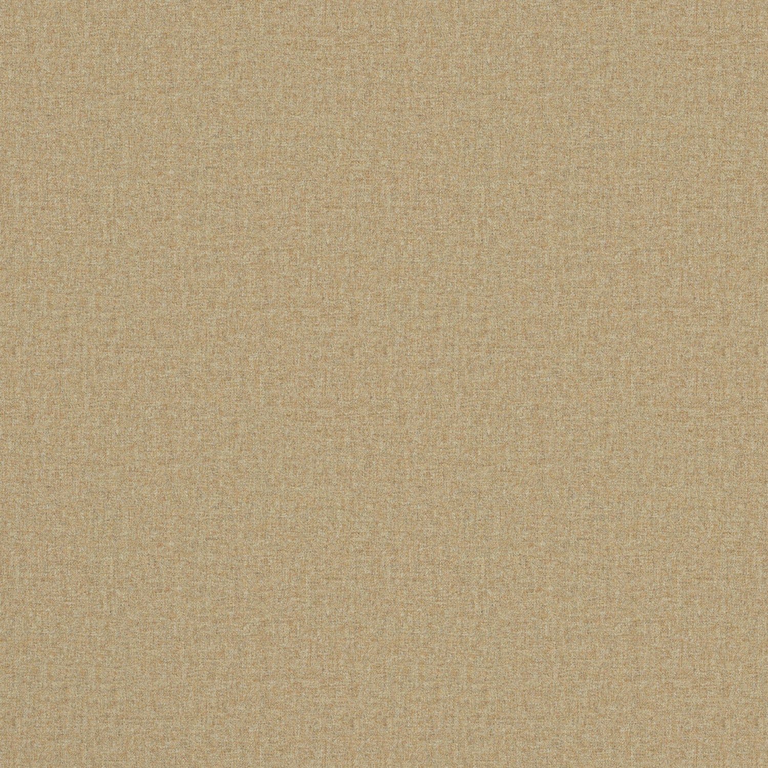 Fabric swatch of a luxury Scottish plain beige wool fabric suitable for curtains and upholstery