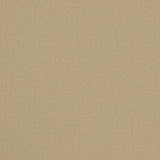 Fabric swatch of a luxury Scottish plain beige wool fabric suitable for curtains and upholstery