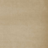Fabric swatch of a brown plain velvet – suitable for use as a velvet upholstery fabric or velvet curtains
