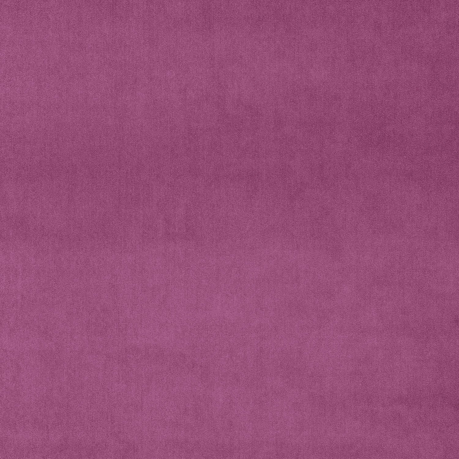 Fabric swatch of a pink plain velvet – suitable for use as a velvet upholstery fabric or velvet curtains
