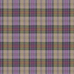 Beachcomber Sumburgh