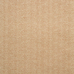 Lars Geometric Coral