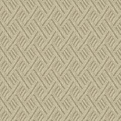 Rumba Ochre