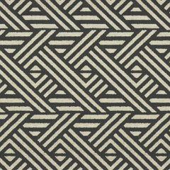 Pampas Charcoal