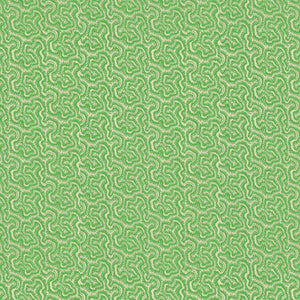 Polka Grasshopper