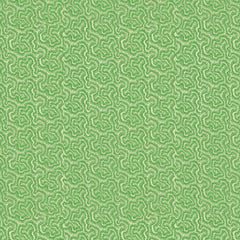 Polka Grasshopper