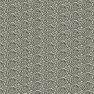 Polka Midnight
